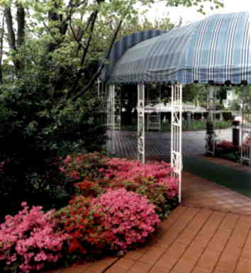 This way to the front door.